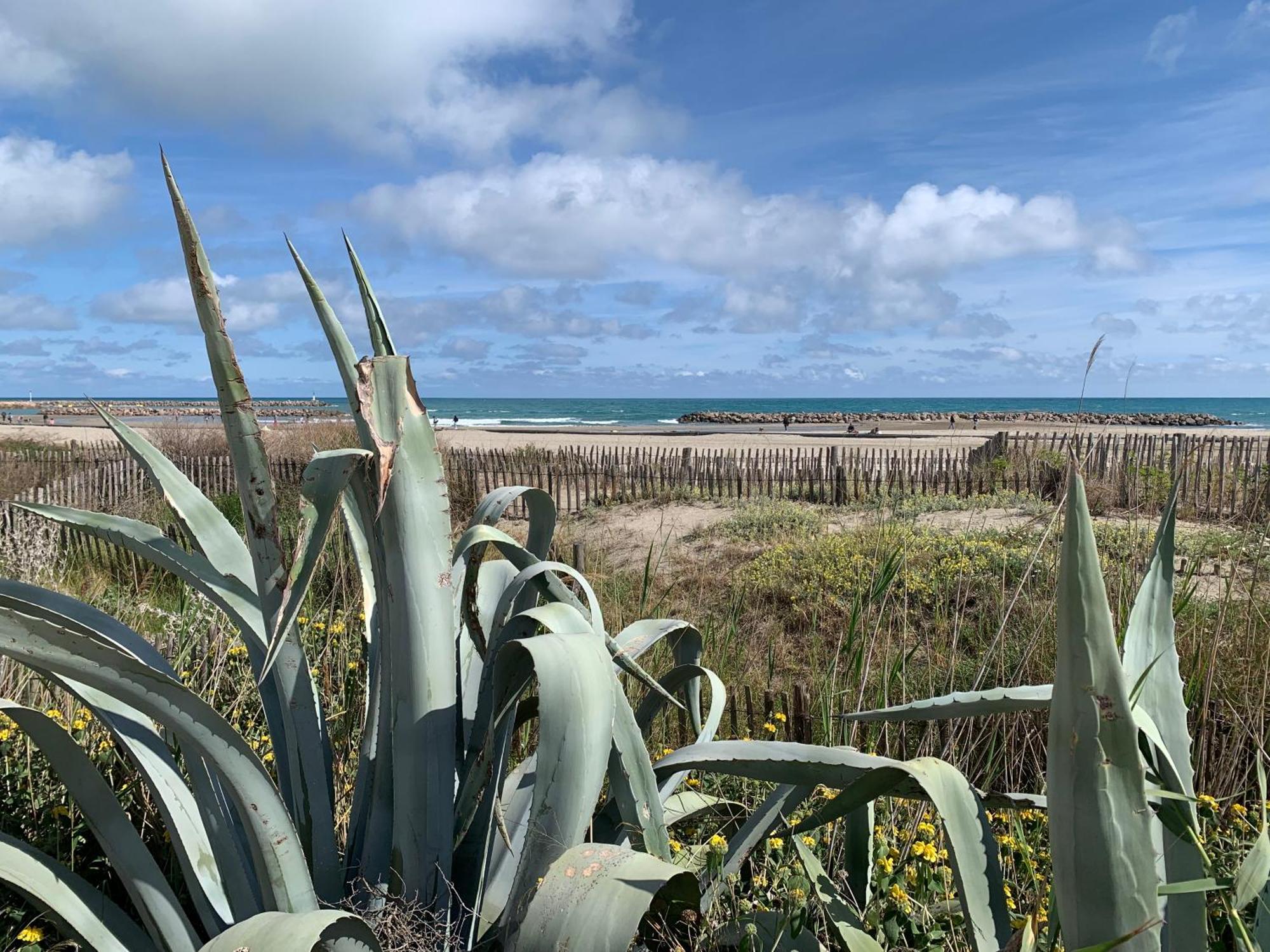 Sete - Vue Mer Imprenable, Piscine, Calme Zewnętrze zdjęcie